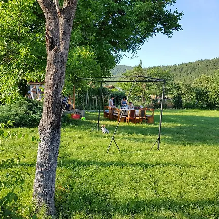 садина *