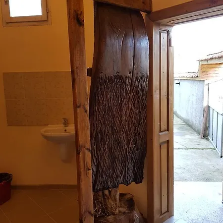 садина *