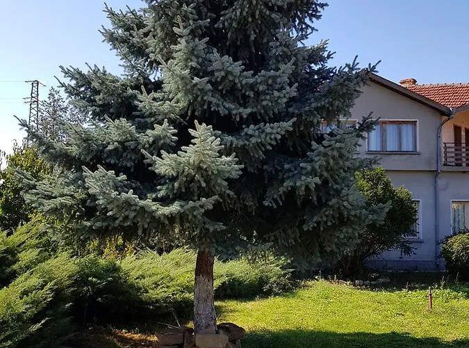 садово Penzion